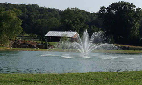 Water Features