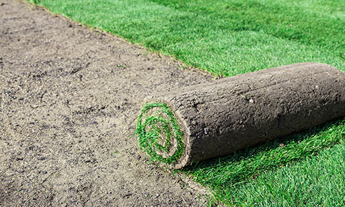 Sod Installation