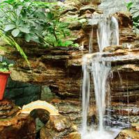 How Water Features Can Benefit Your Landscape