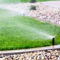Four Common Problems with Landscape Irrigation