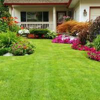 How to Create an Environmentally Friendly Landscape