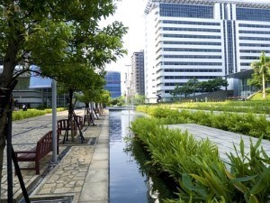 Why You Need Pros For Your Commercial Landscaping