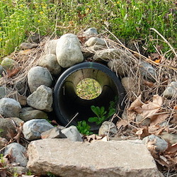 French Drain vs. Regrading: Which Drainage Fix Works Best for Your Yard?