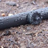 Is a Drip Irrigation System Right for Your Landscape?