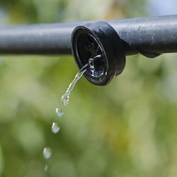 Is Drip Irrigation Right for Your Flowerbeds?