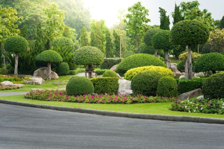 Commercial landscaping services