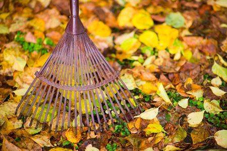 Calhoun Seasonal Clean up