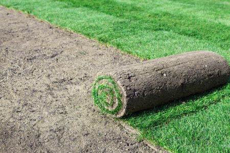 Calhoun Sod Installation